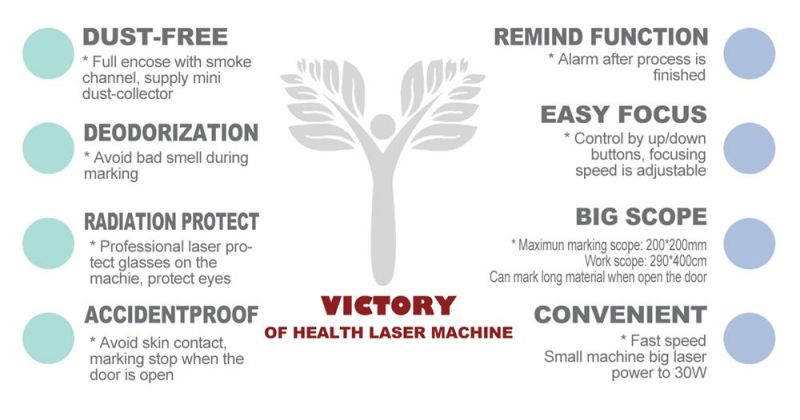 Mini Steel Laser Cutting Machine for Small Metal Sheet