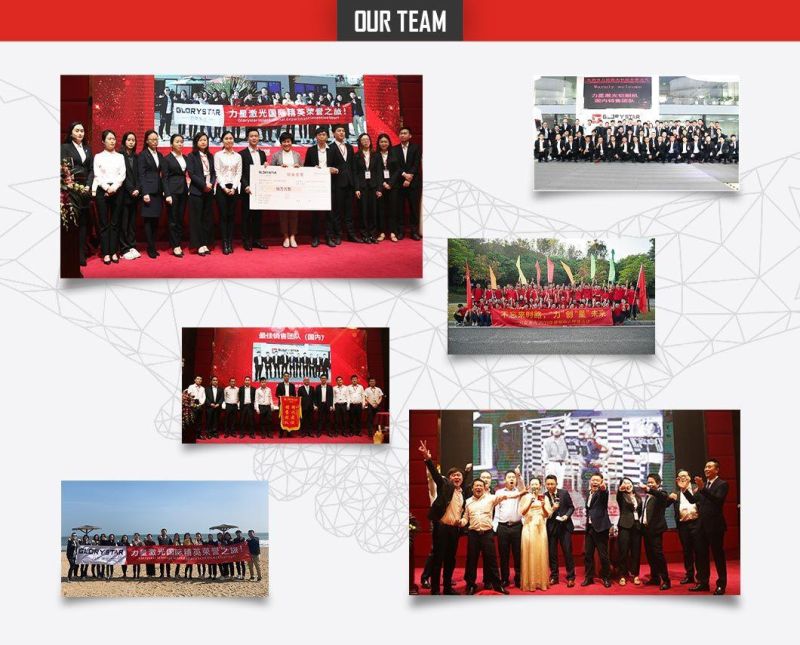 CE/FDA Hot Selling China Price CNC Fiber Laser Cutting Machine