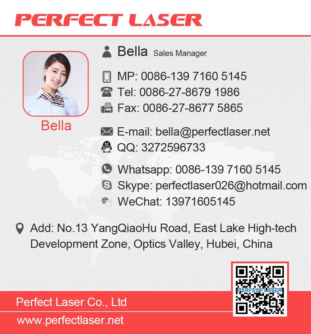 Acrylic Sheet CO2 Laser Cutting Engraving Machine for Wood