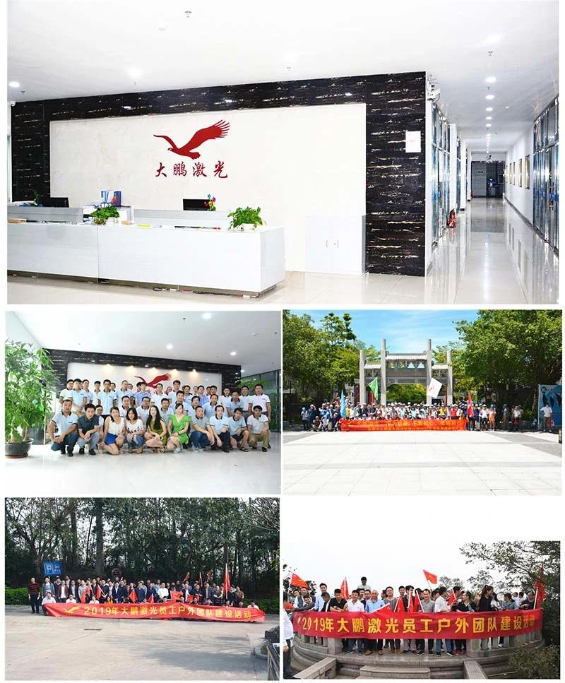 Dapenglaser 20W/30W/50W Fiber Laser Printing Marking/Engraving Machine for PVC Pipe/Electronic Parts/Metallic Products/Leather/Watch/Auto Part