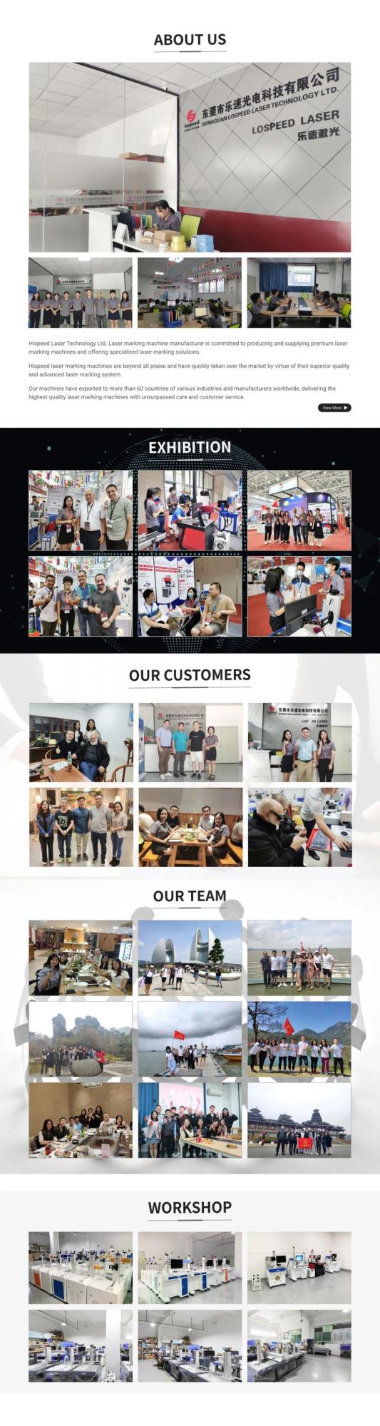 High Transmittance Anti-High Temperature Outstanding Beam Quality Date Laser Printing Machine