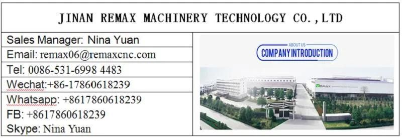 1325 CNC Laser Cutting Fiber Laser Cutter Ss/CS Iron Machine with Control System