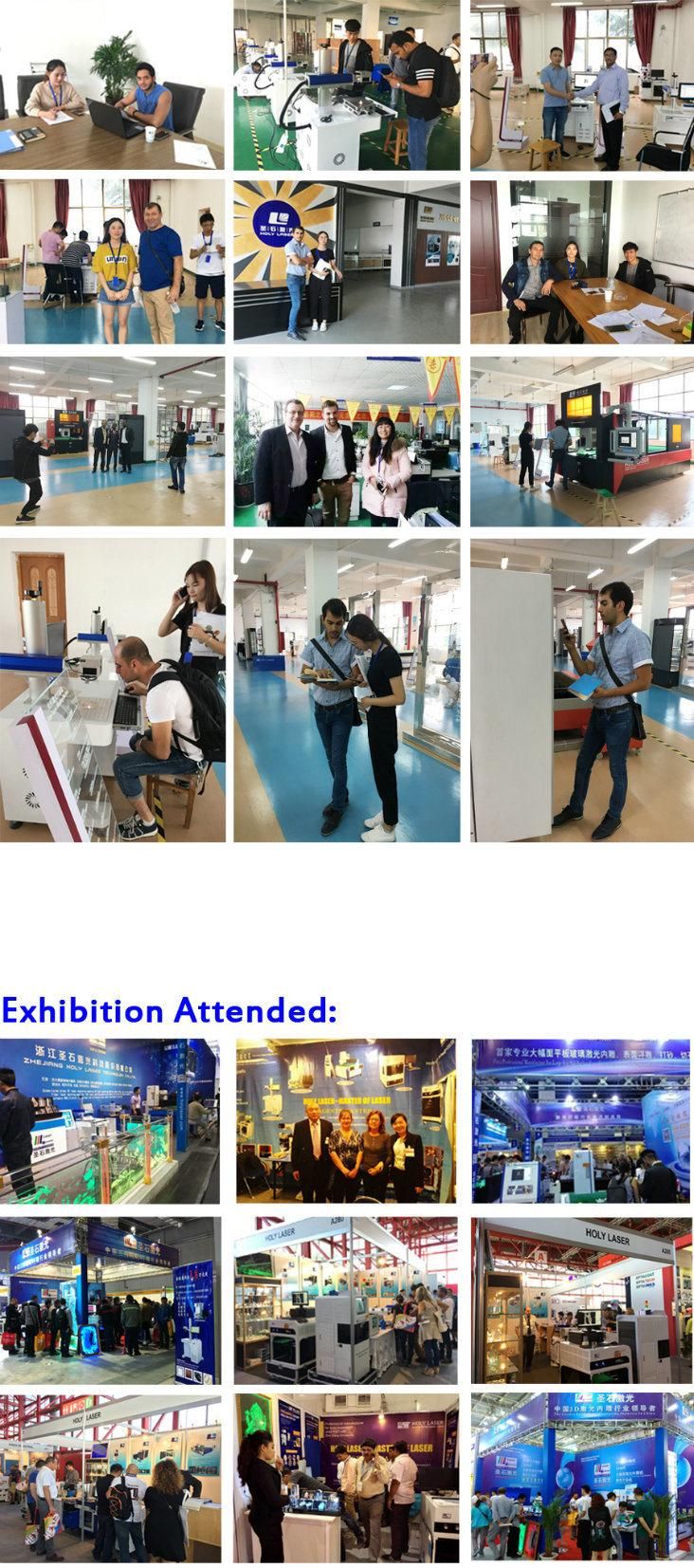 3D Crystal Laser Engraving Machinery with Factory Price