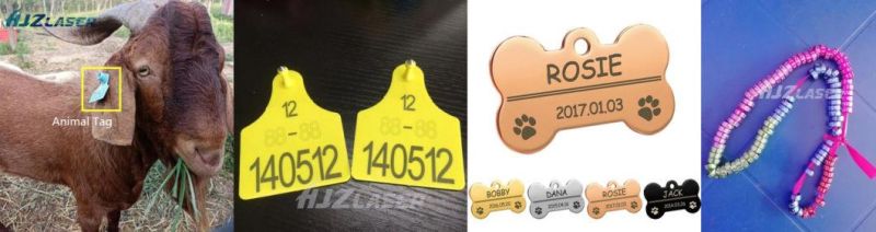 Engraving Machine Galvo Gold Silver Metal Fiber Laser Marking Machine Jewelry Tags Making