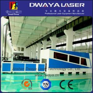 Stainless Steel Fiber Laser Cutting Machine with Ce/FDA/SGS (DWAYA-GB3015)