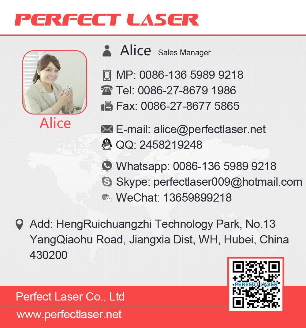 Leather Shoes Laser Cutting Machine