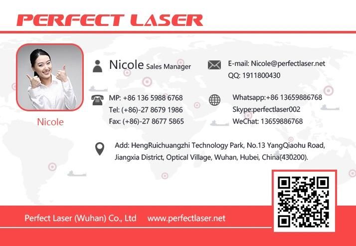 CNC Multi-Layers Automatic Fabric Cutter Machine with CAD/Cam Cutting System
