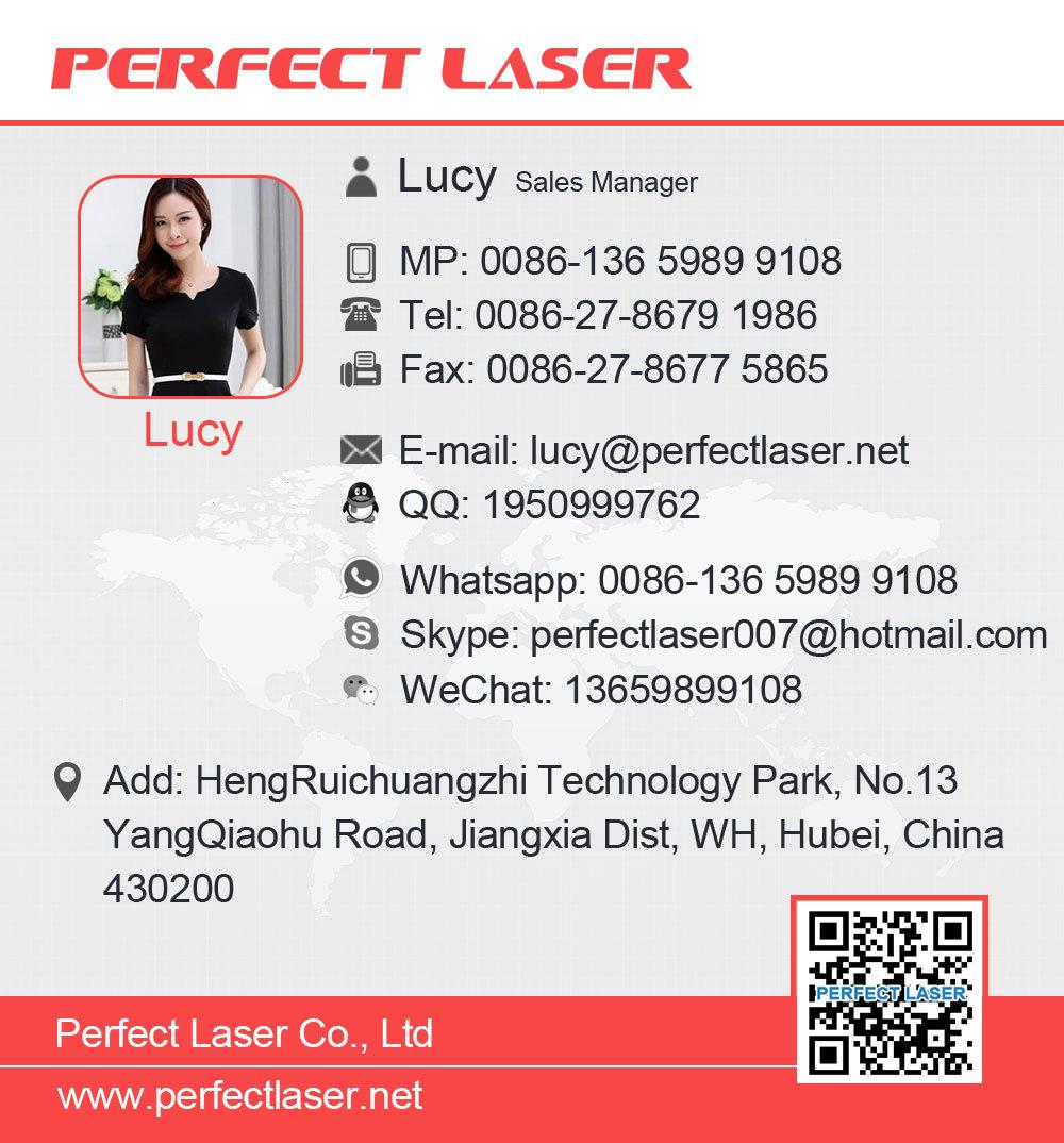 Perfect Laser- Industrial 2D 3D Portrait Hand Crystal Laser Engraving Machine