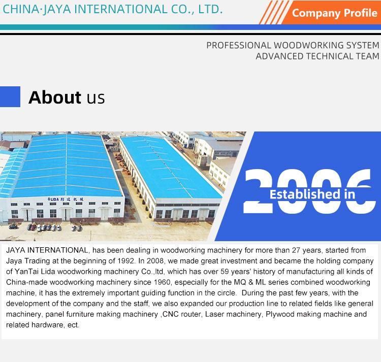 ZICAR woodworking machine Fiber Laser Cutting Machine