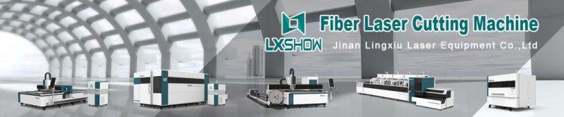 Monthly Deals! Fiber Laser Metal Cutting Machinery for Stainless Steel Sheet