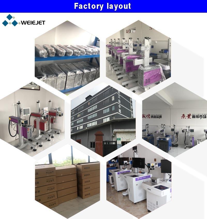 CO2 on-Line Flying Laser Printing Machine & Laser Printer Machine for Wood/Food/Water Bottles