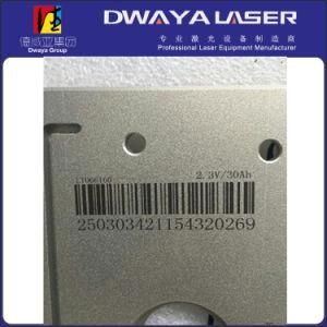 Bar Code/Qr Code Laser Engraving Machine with 30W