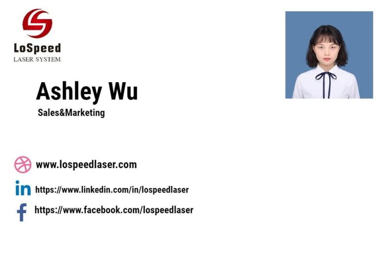 Hispeed CO2 Laser Marking Machine for Glass/Wood/Plastics/ Pet/HDPE/PE/Paper