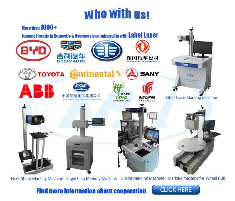 High Efficiency Fiber / CO2 / Flying Laser Marking Machine with Conveyor Belt