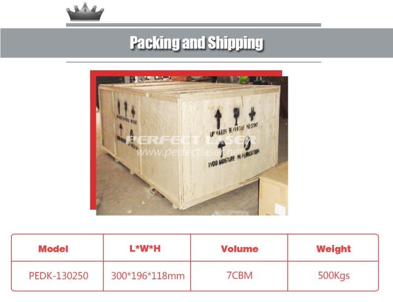 Perfect Laser Fabric Cloth Laser Cutting Machine (PEDK-160260)