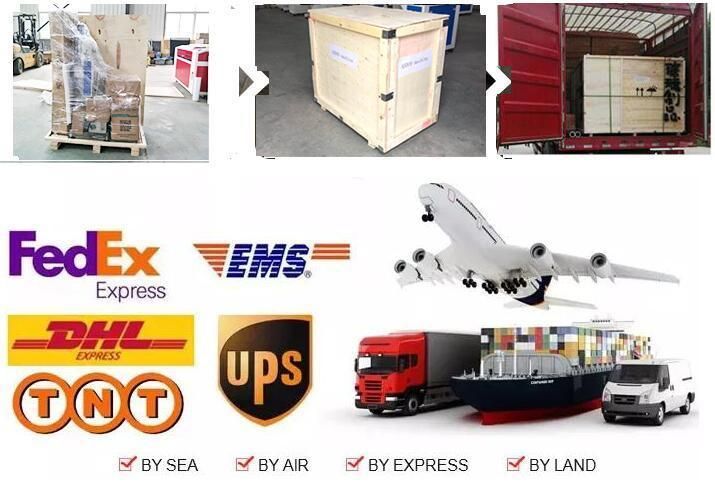 Fiber Laser Marker/ 20W Marking Machine for Metal Material