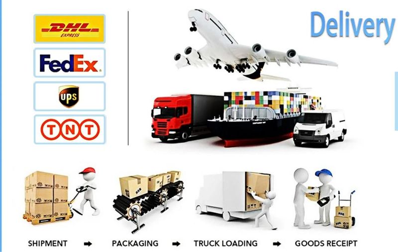 Lueb C02 Flying Laser Marking Machine for PVC Card Signature and Logo Marking