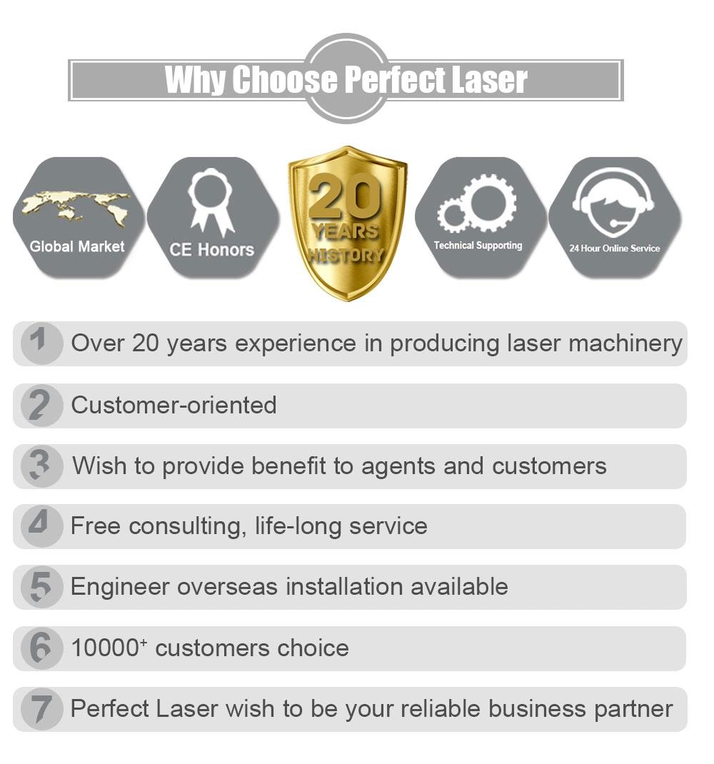 Phone Case Logo Printing Metal Laser Color Laser Etching Marking Engraving Machine for Metal