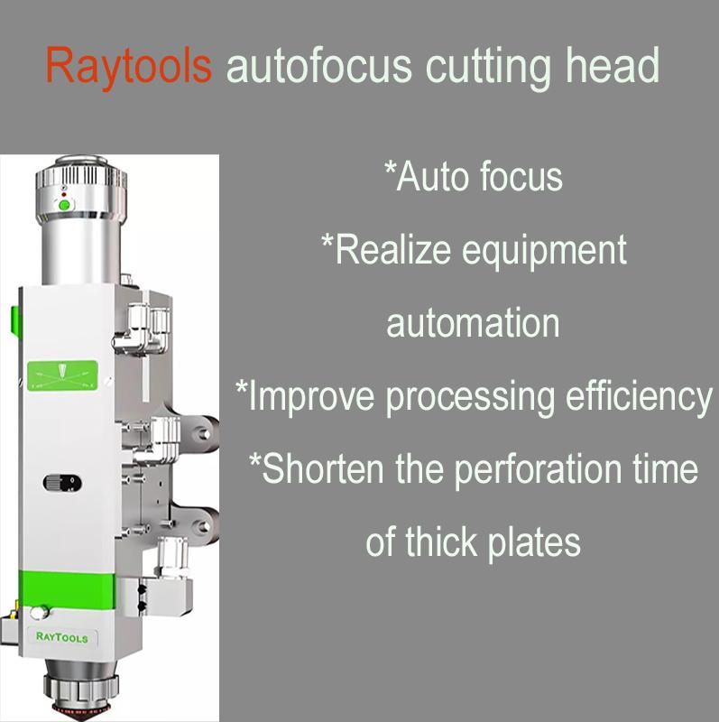 Ipg Raycus Source 1000W 1500W 2000W 3000W Metal Fiber Laser Cutting Machine