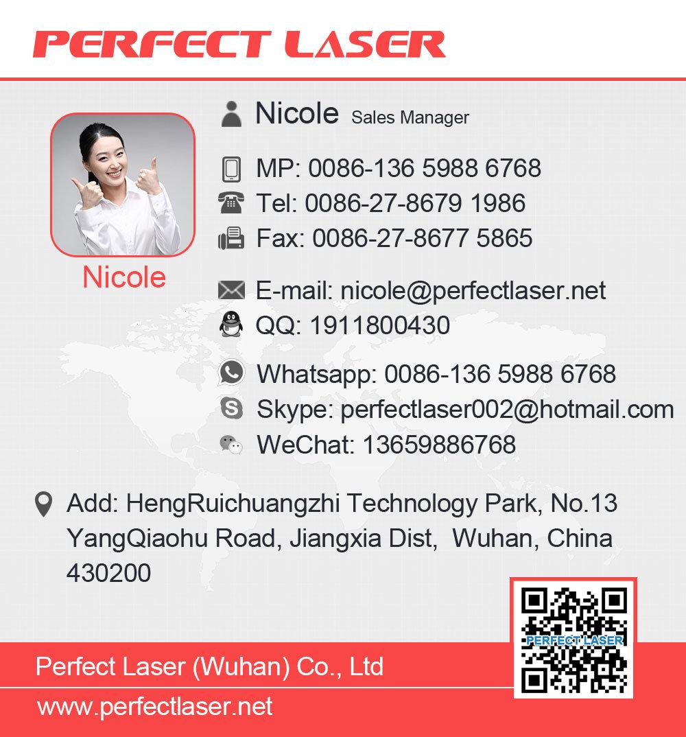 1000W Laser Cutter Metal Sheet Fiber Laser Cutting Machine