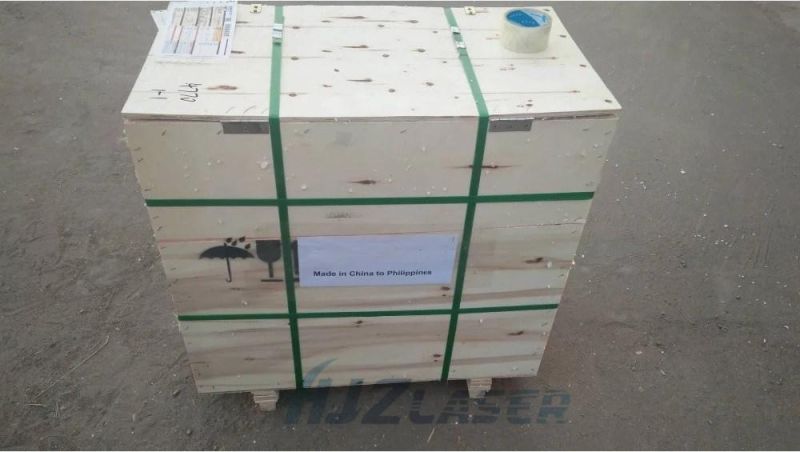 20W Laser Marking Machine for Animal Ear Tag Low Cost Handheld