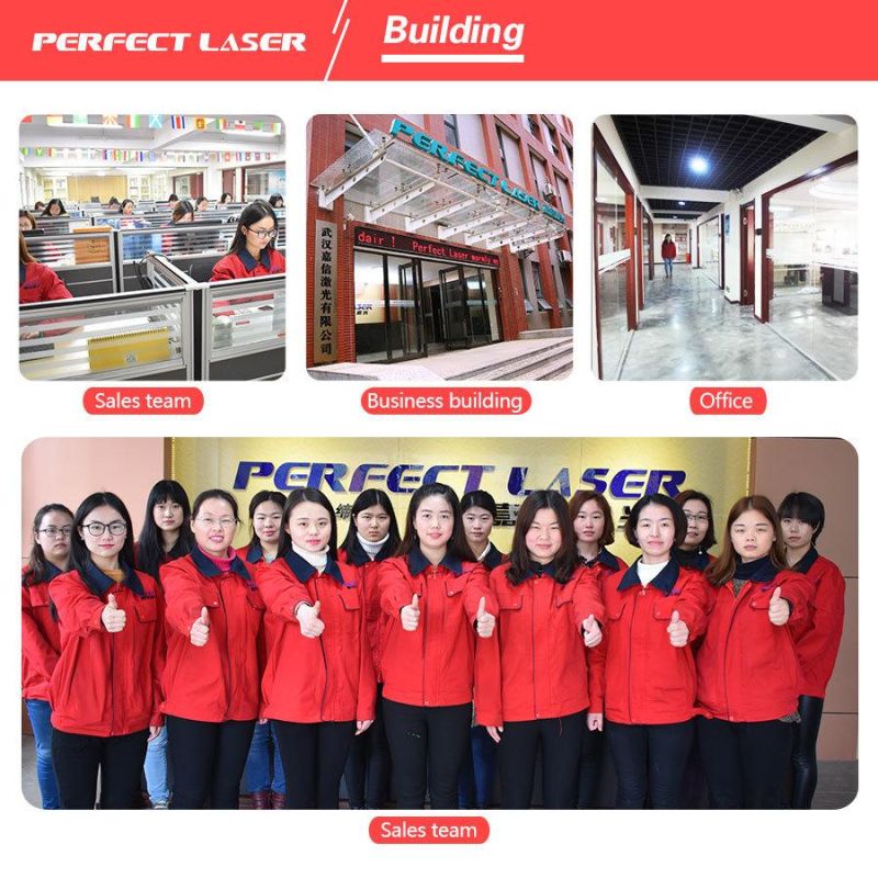 Hotsale Pedk-13090 Acrylic CO2 Laser Engraving Cutting Machinery