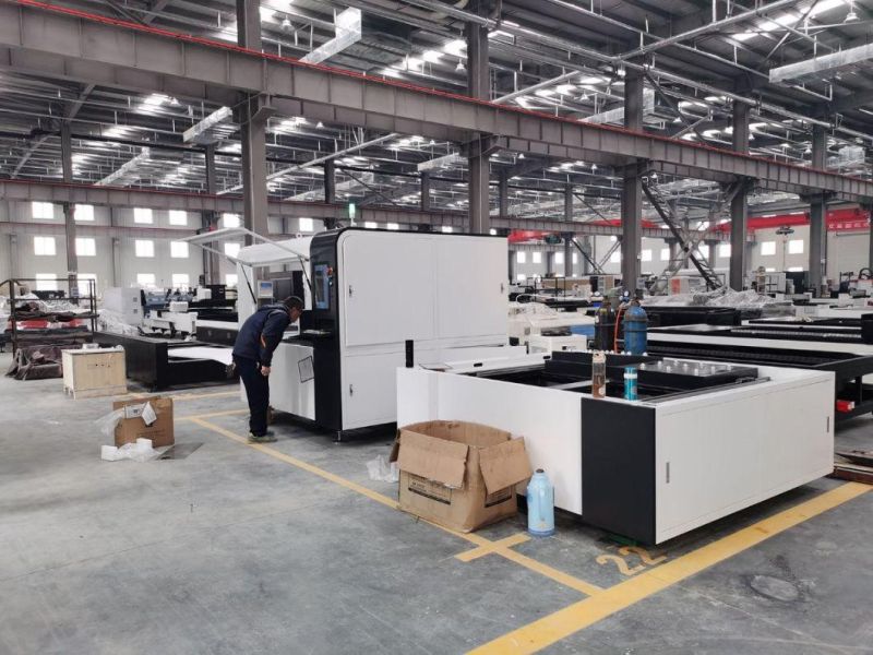 Professional Fiber Metal Laser Cutting Machine for Stainless Carbon Steel
