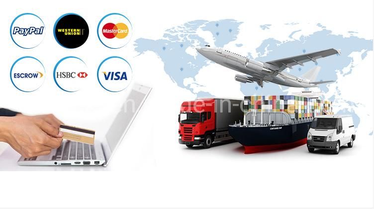 Iron Aluminum Carbon Steel Metal Fiber Laser Cutting Machine