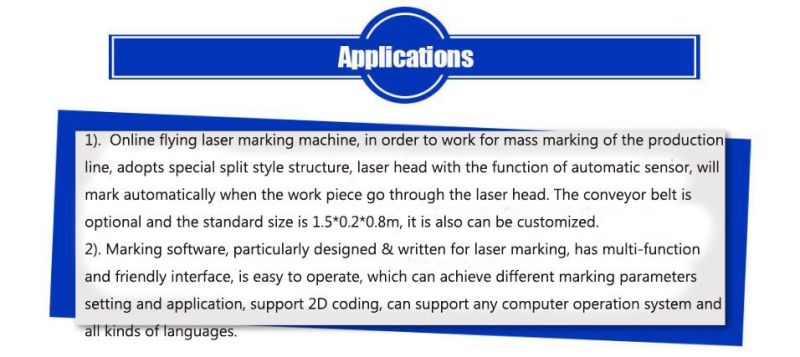 CO2 Laser Marking Machinery on Fly Line for Outer Package of Food