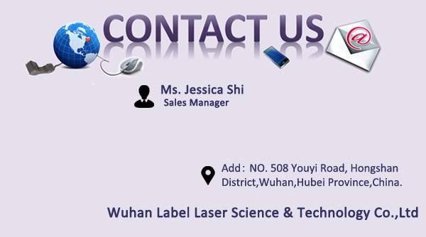 20W/30W/50W Fiber Laser Engraving Machine Factory (Distributor Wanted)