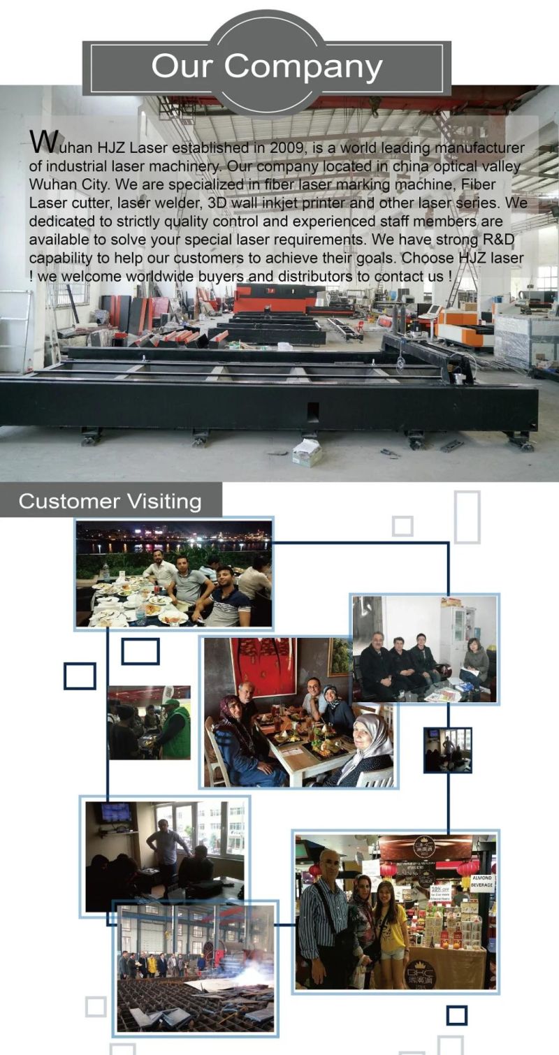 Metal Sheet Fiber Laser Cutting Machines 300W 500W 1000W Ipg Raycus Laser Cutter for Metal Material