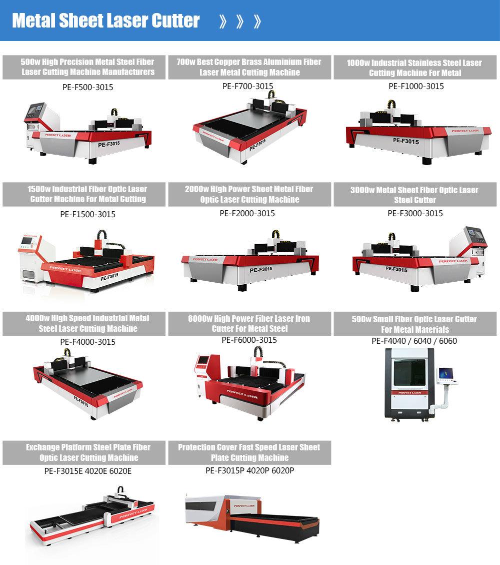 with 20 Years Manufacturer Produing 500W 800W 1000W Stainless Steel Sheet Metal Fiber Laser Cutter