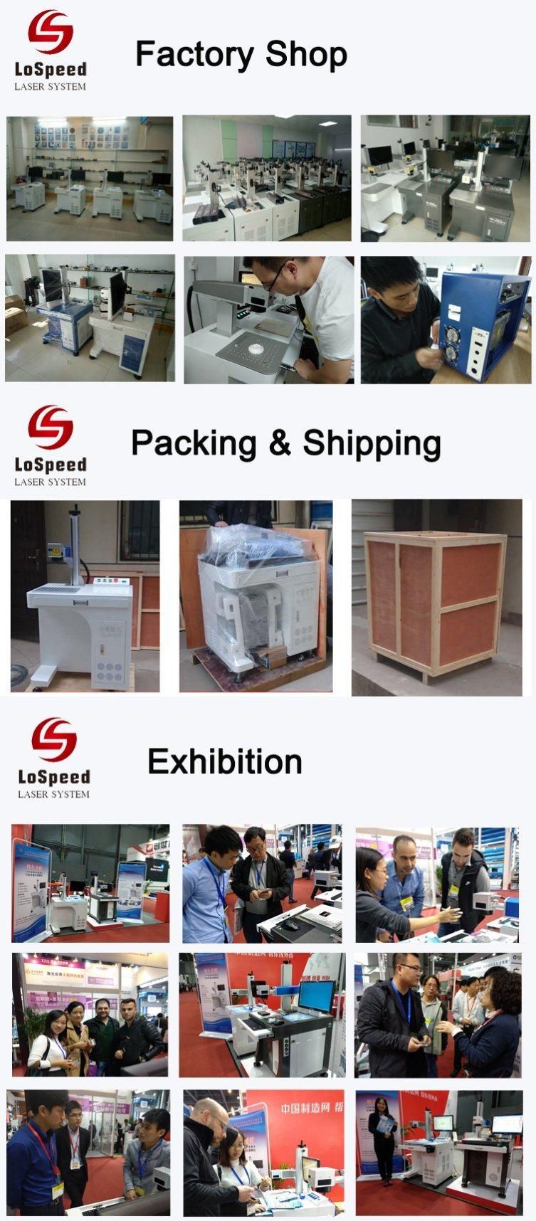 Lospeed PVC PP Pet PS Nonmetal Material Printing 20W 30W 50W Flying Type CO2 Laser Marking Machine for Plastic Bottles Online Production