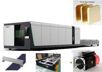 3000W 5000W Source Fiber Laser Cutting Machine for Alloy Plates Rare Metal Ss CS Engraving