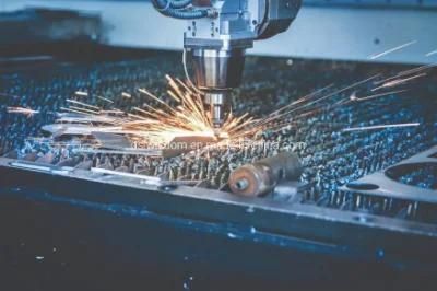 Wt-4015D 2000W CNC Fiber Laser Cutting Machine 2021 New Hot Sale for Metal Steel CS/Ss/Al/Copper Sheet/Plate Pipe Cutter Equipment
