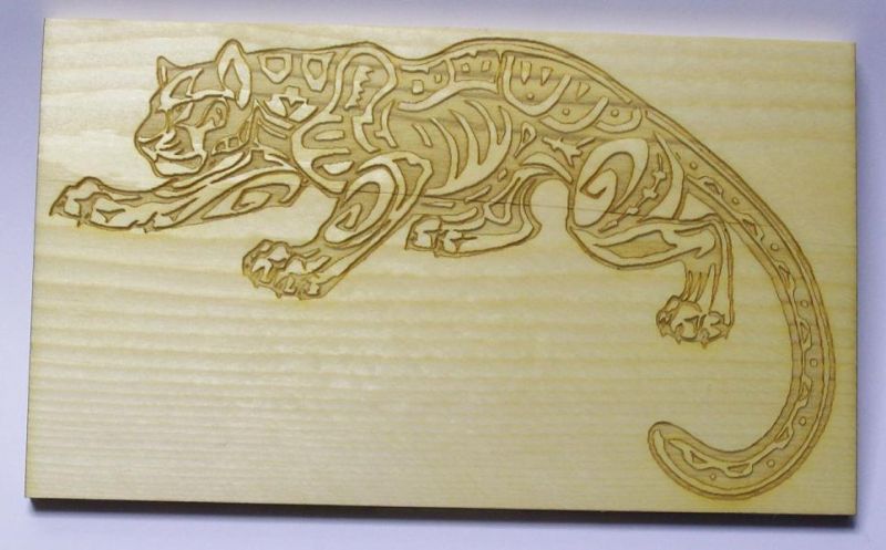 CO2 Laser Cutter Engraver for Wood/Acrylic (FLC9060)