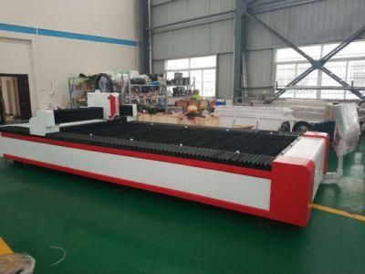 Raycus Fiber Laser Cutting Machine Ta Laser