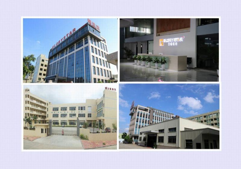 Glorystar High Precision Carton Steel Laser Cut Machine