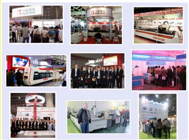 CNC Fiber Laser Cutting Machine for Metal Processing Under 10mm