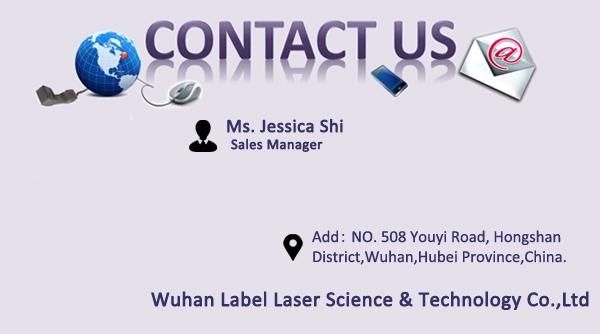 Nonmetal Engraving Machinery CO2 Laser Marking Machine