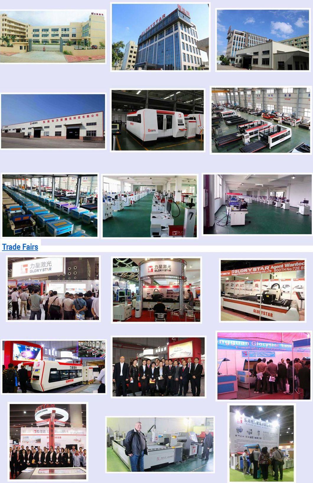 Glorystar High Precision Stainless Steel Fiber 1000W Laser Source