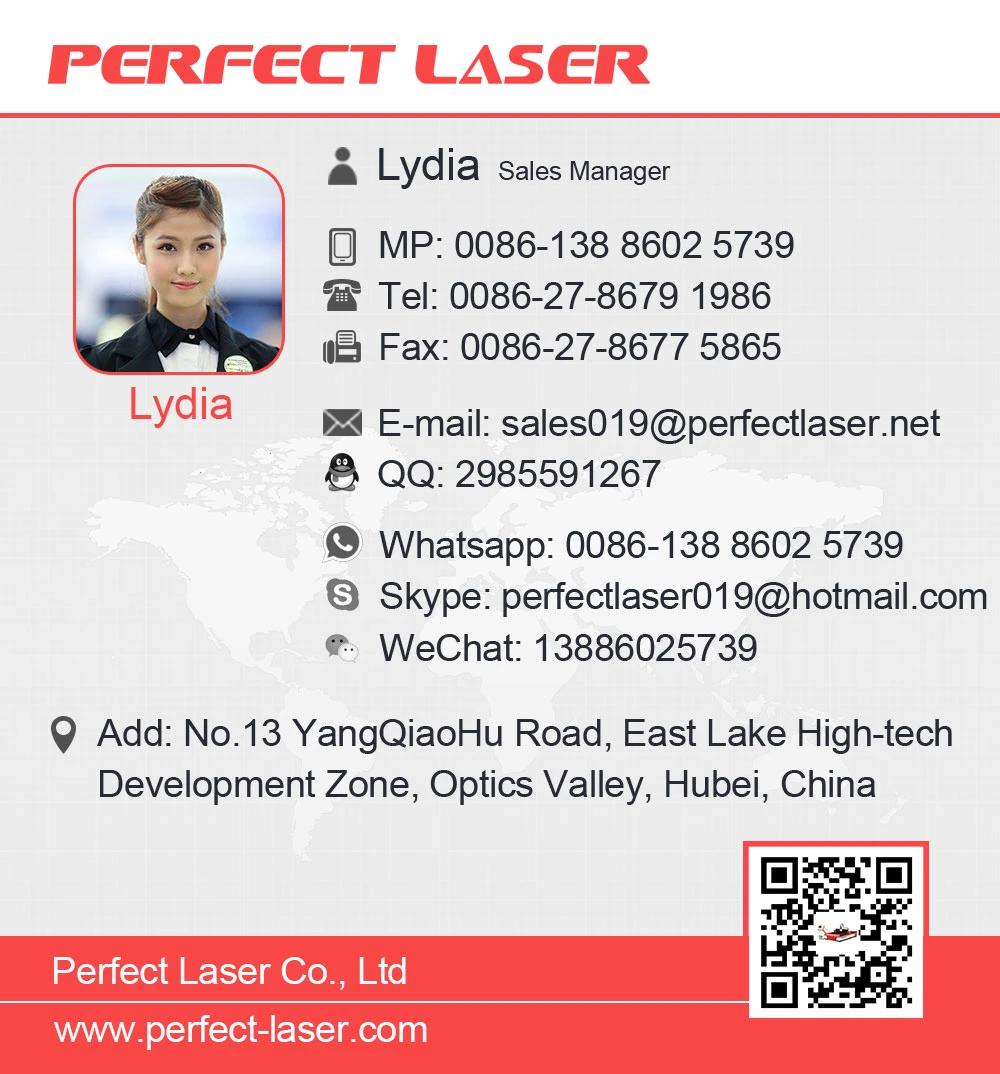 Perfect Laser Hot Sale CNC Fiber Laser Cutting Machine for Matal