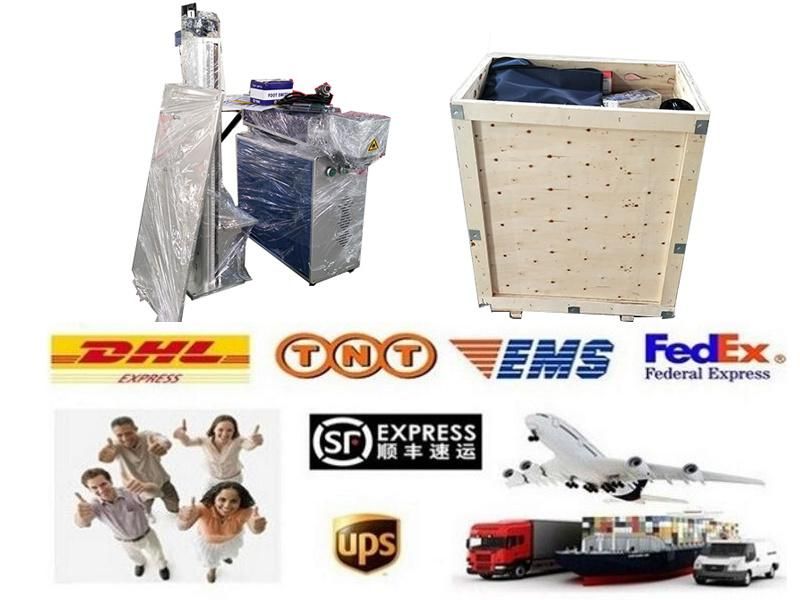 20W Auto Focusing Laser Marking Machine for Animal Ear Tags