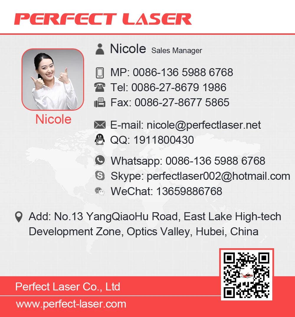 1000W 2000W 3000W 3015 1530 Ipg Raycus CNC Metal Sheet Stainless Steel Fiber Laser Cutters Cutting Machines Price