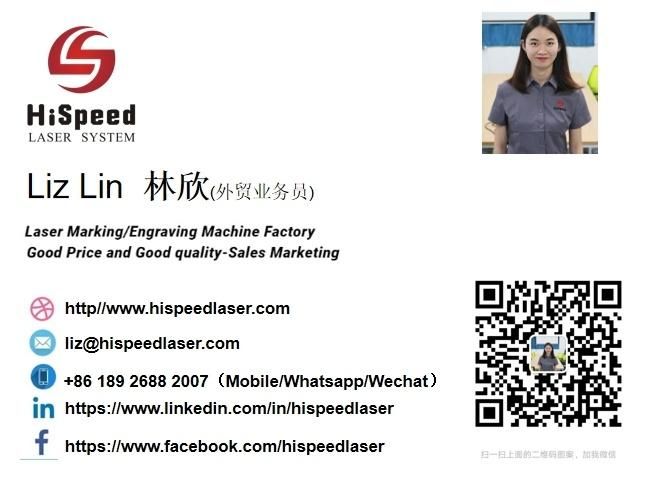 Hispeed Dongguan UV Online Fly Laser Marking Machine for Face Mask with Production Line CE