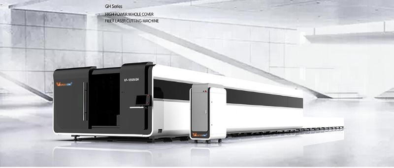 2560gh 6000W CNC Fiber Laser Cutting Machine Raycus High Efficient
