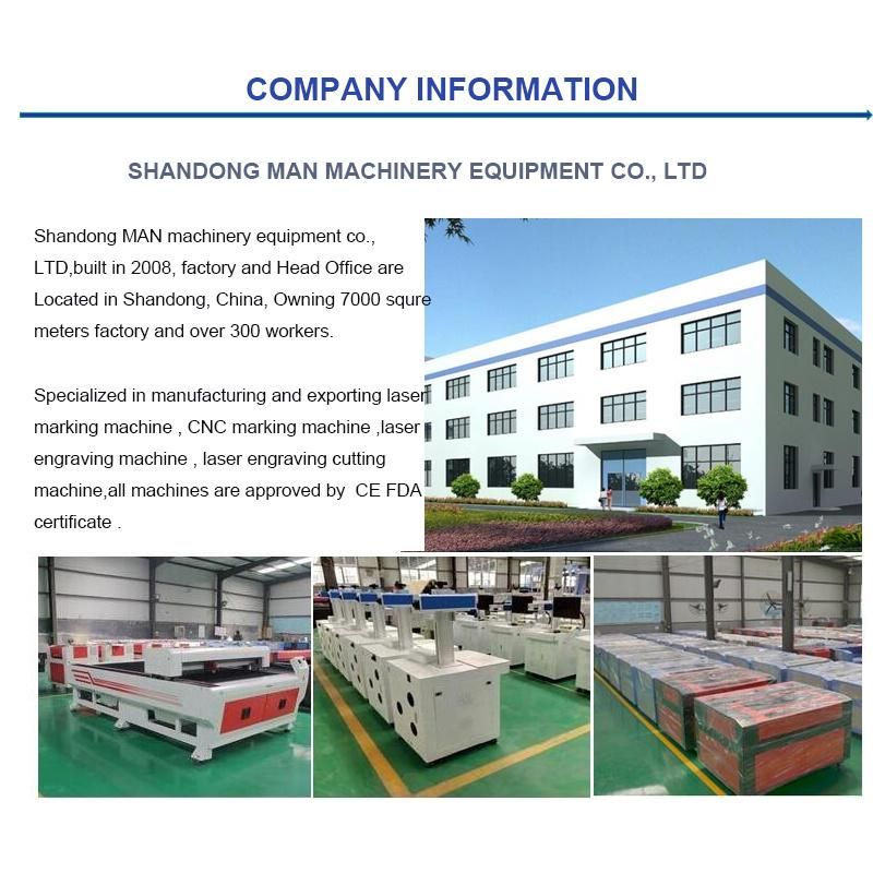 30W High Speed Metal Laser Marker/ Marking on Medical Promotional Things