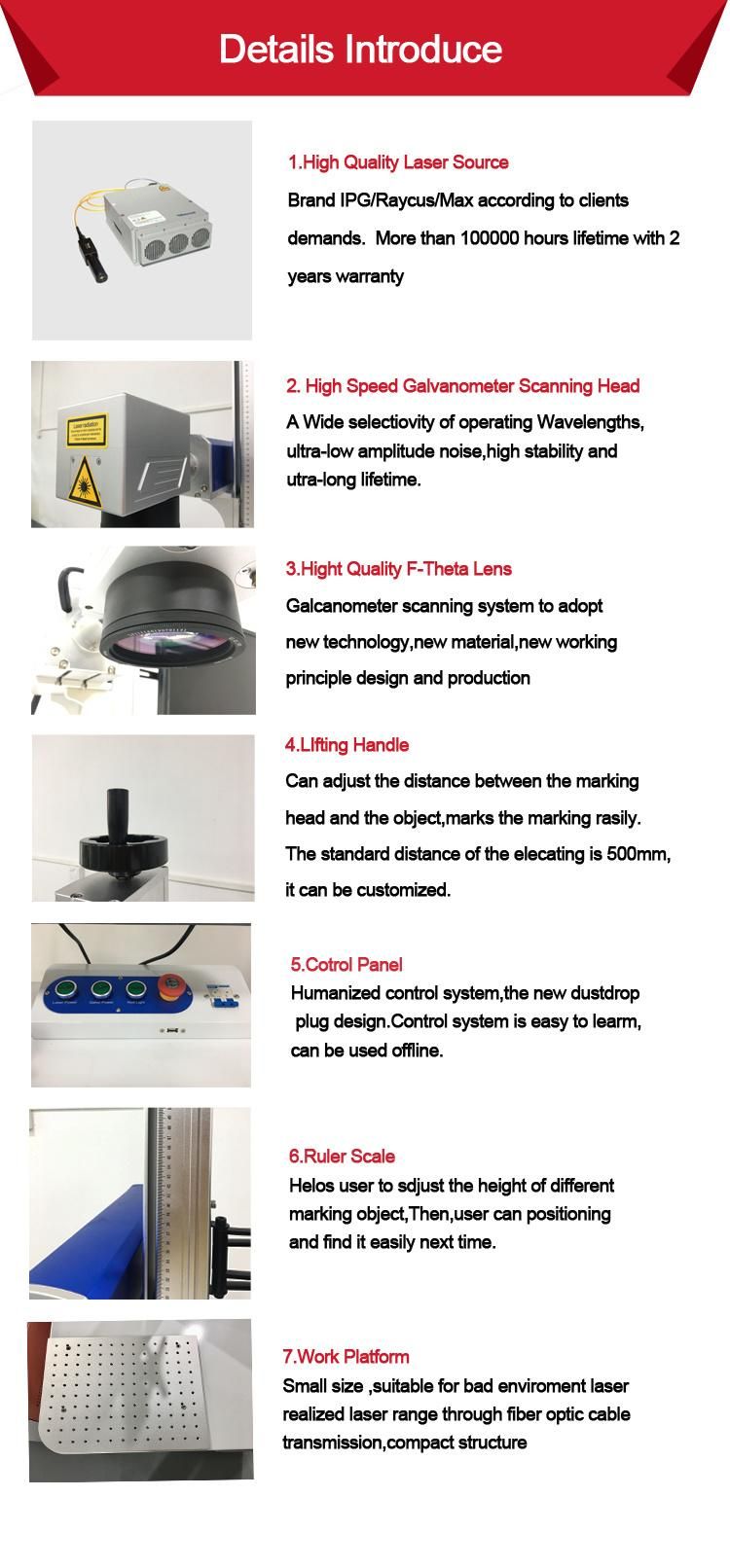 Maintenance Free Fiber Laser Engraving Machine Without Consumables for Series Number Company Name with Computer