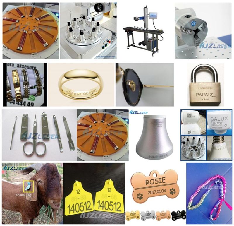 Logo Marking Machine Fiber Laser Marking Rotary Name Engraving Machine Ear Tag Rings