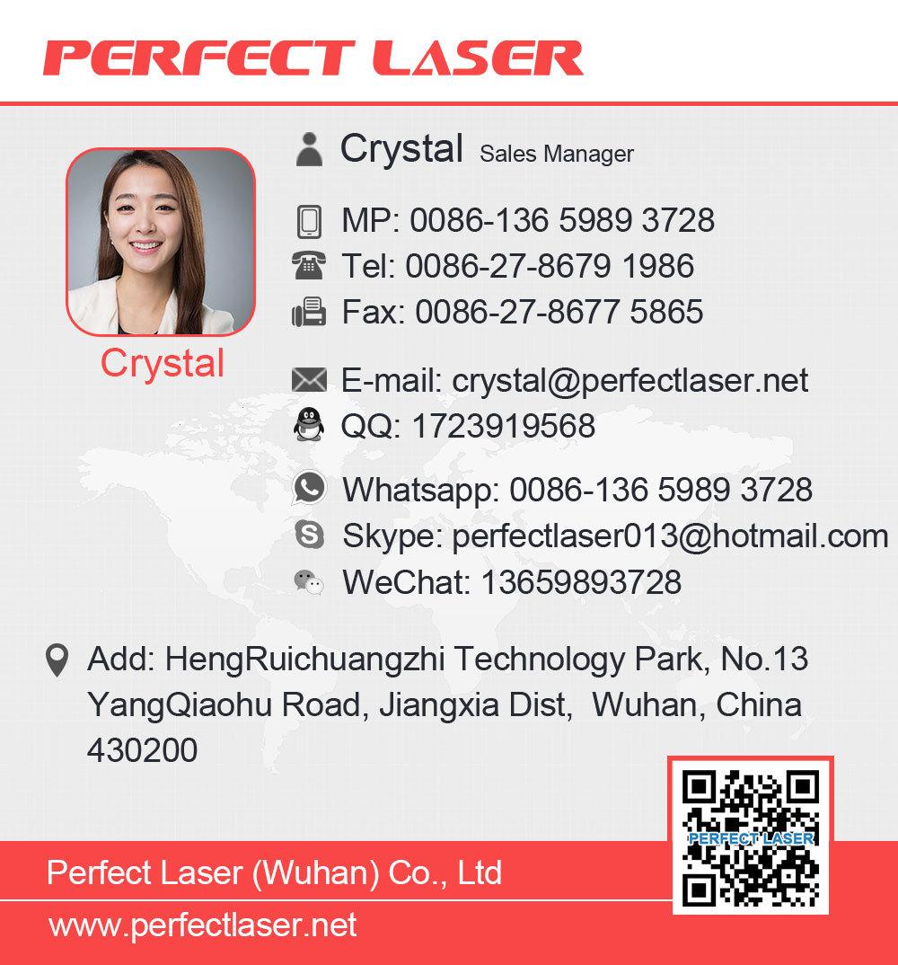 2D 3D Crystal Laser Glass Human Image Inside Engraving Machine